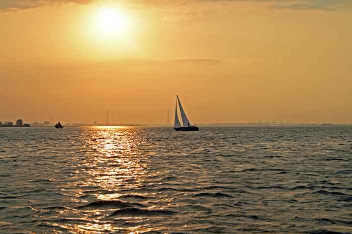 Hotels mit Hund am IJsselmeer buchen