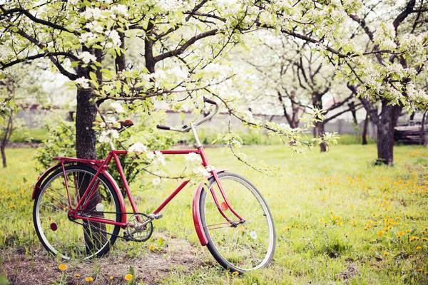 Fahrrad Special