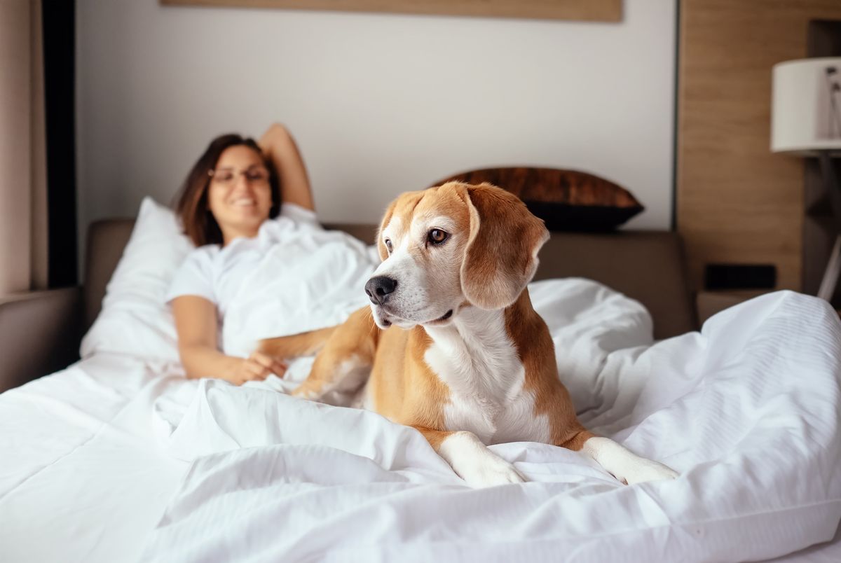 Hotels mit Hund in Reilingen buchen