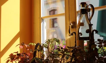 Bild von Halbpension Special