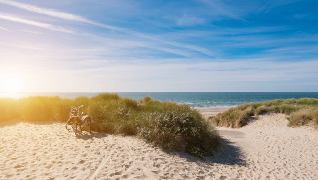Unsere Dinner Specials für Hotels an der Küste Niederlande