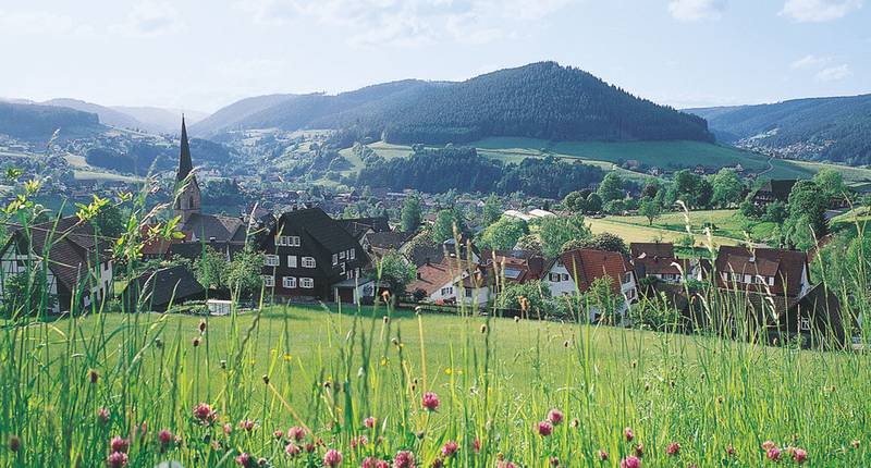 Umgebung