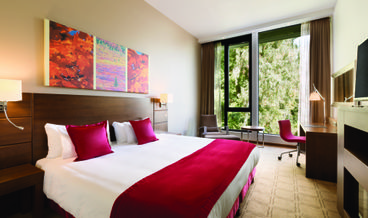Bild von VIP Upgrade Special