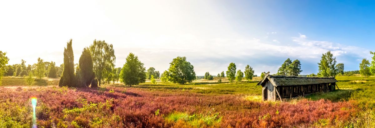 Hotels in Lüneburger Heide