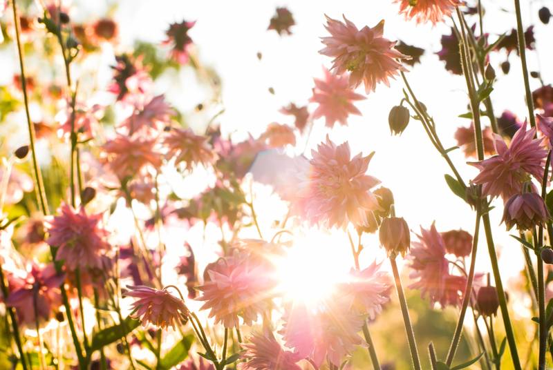 Frühlings Sale: Günstig weg im Frühling