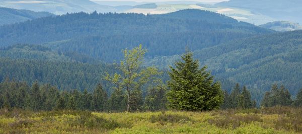 Hotels in Winterberg