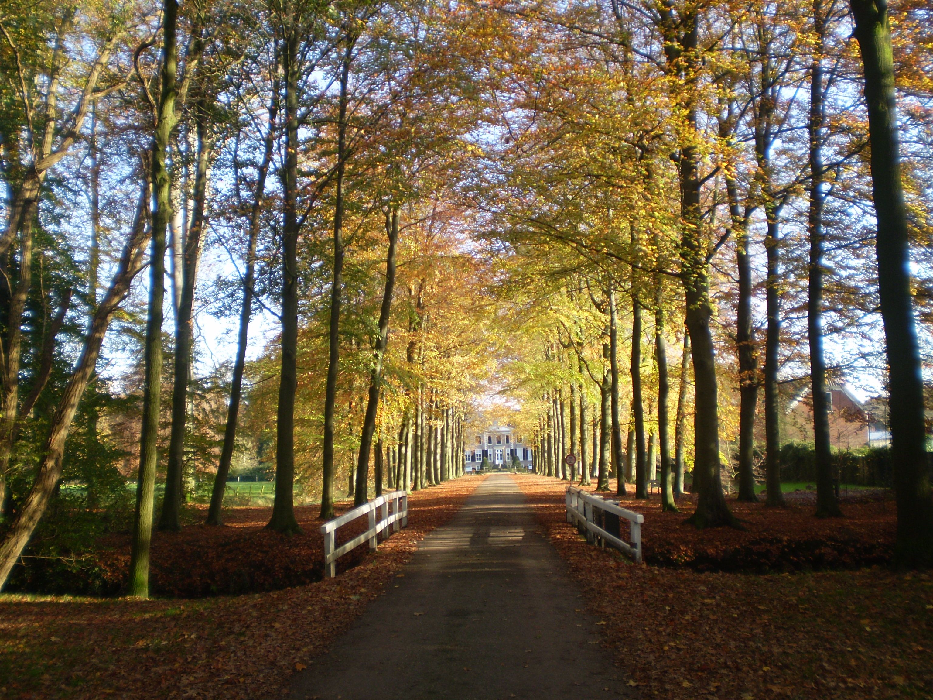 Umgebung