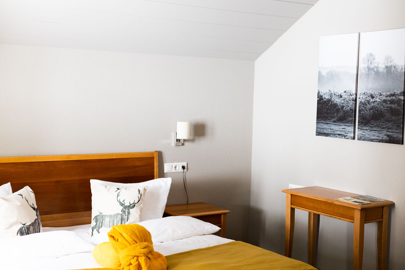 Bild von Halbpension Special