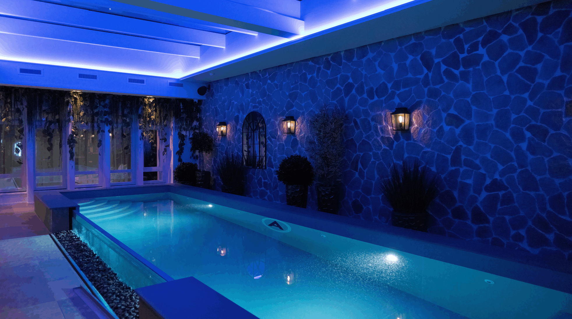 Wellness