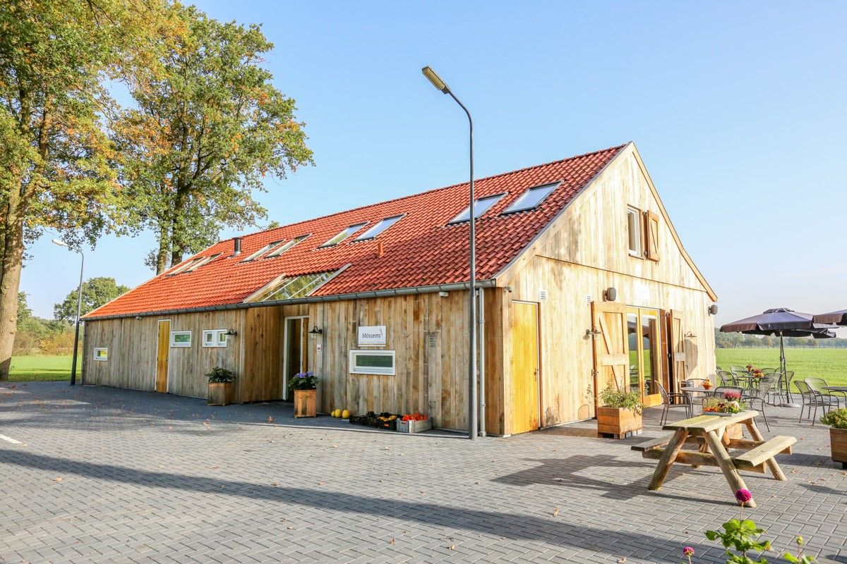 Allgemein