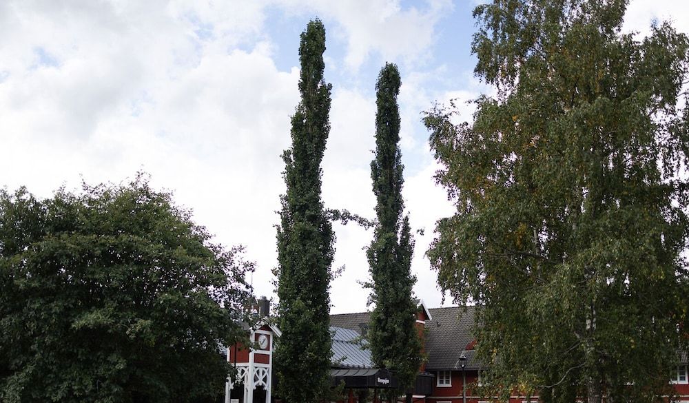 Allgemein