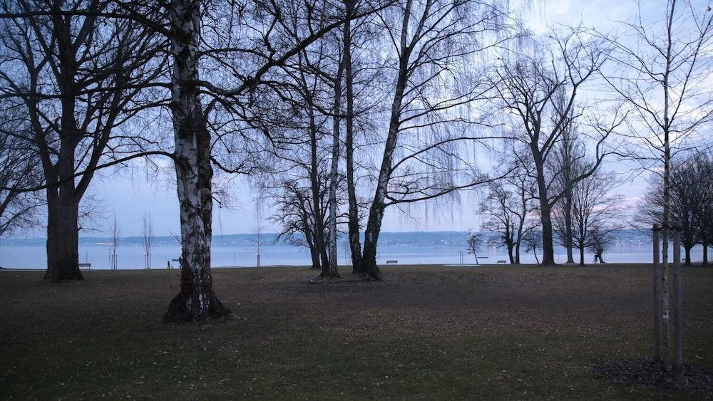 Allgemein