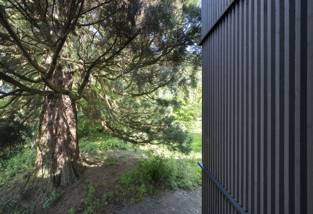 Bild von Waldzimmer beim Bergmammut