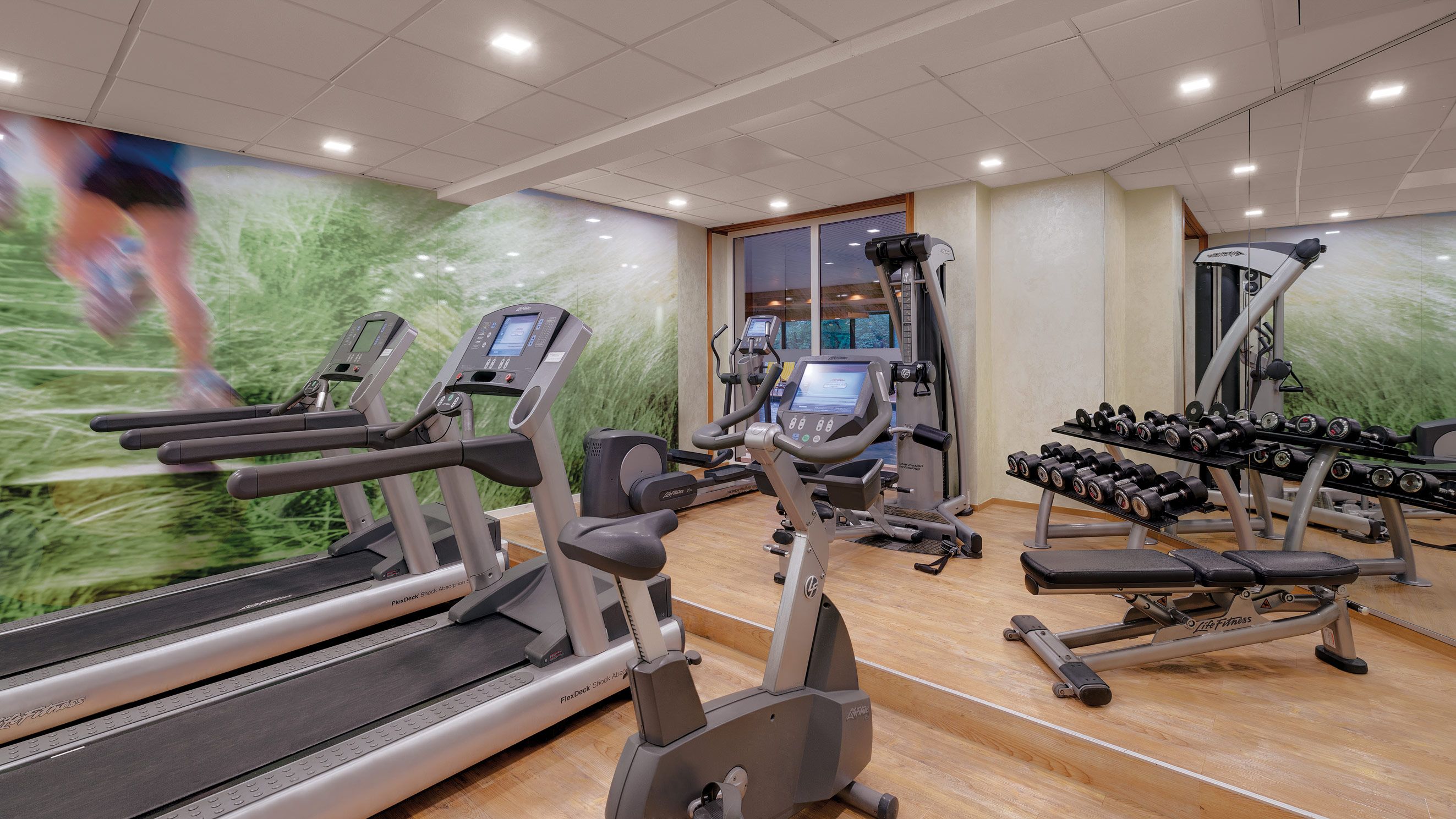 Wellness