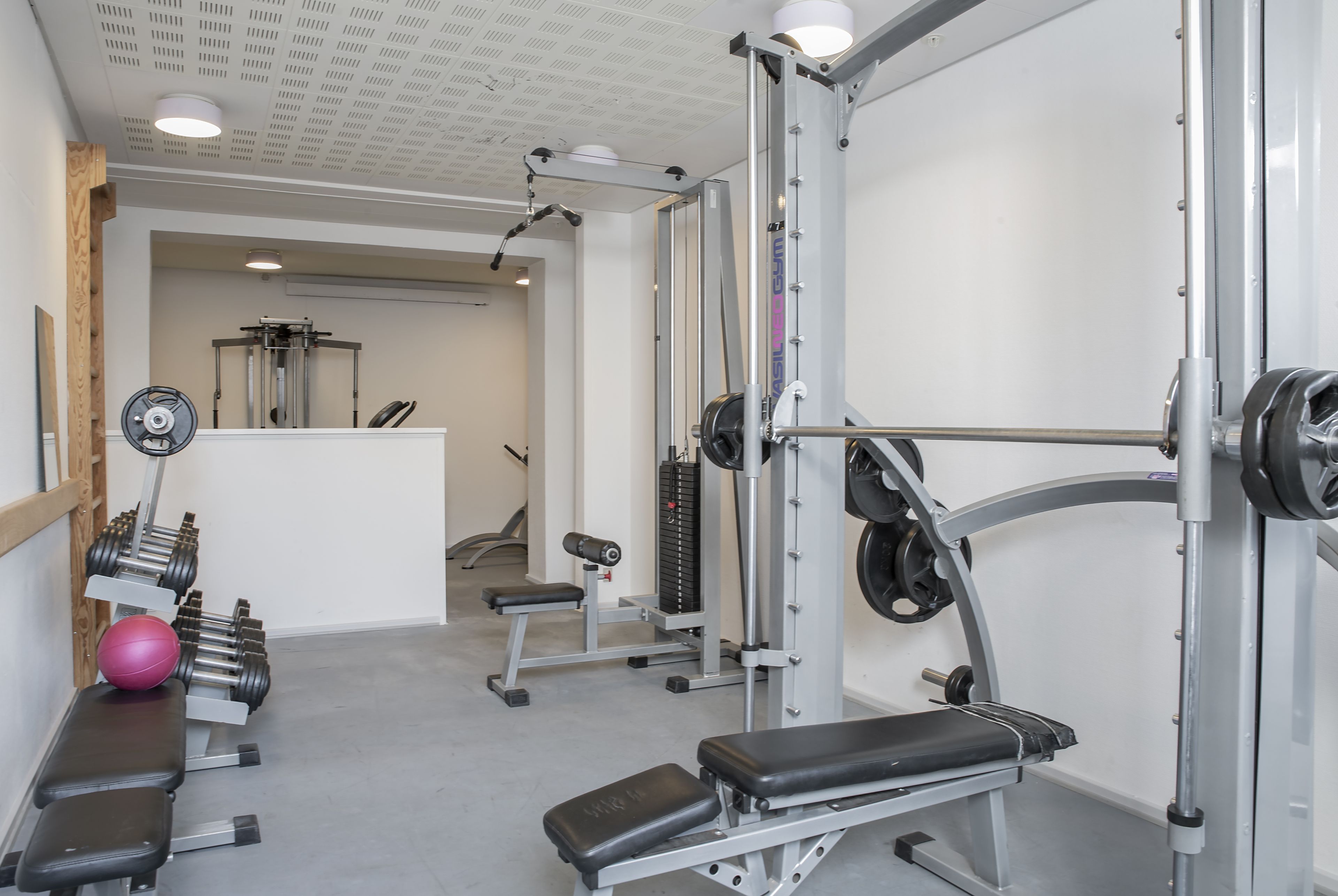 Wellness