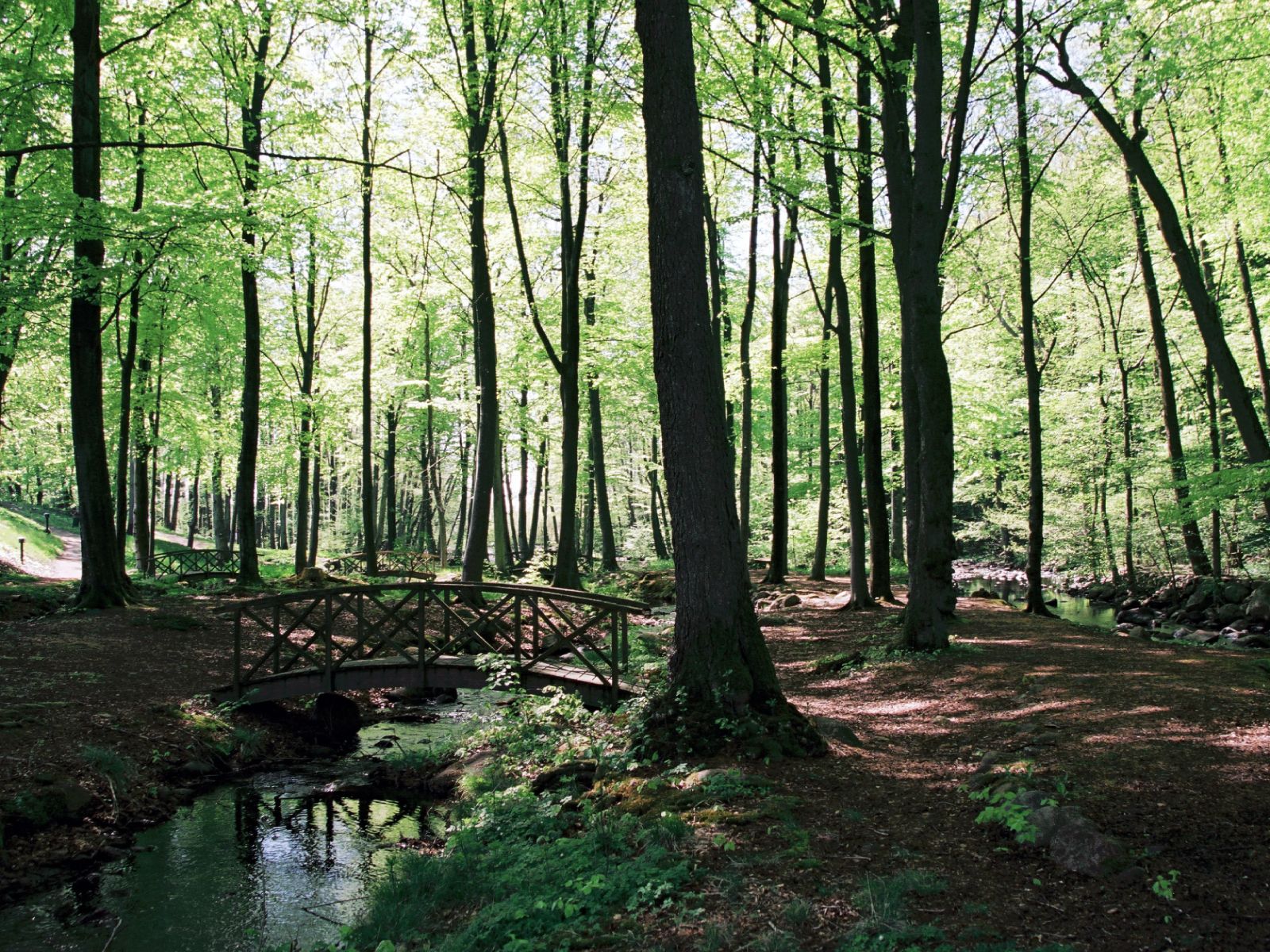 Umgebung
