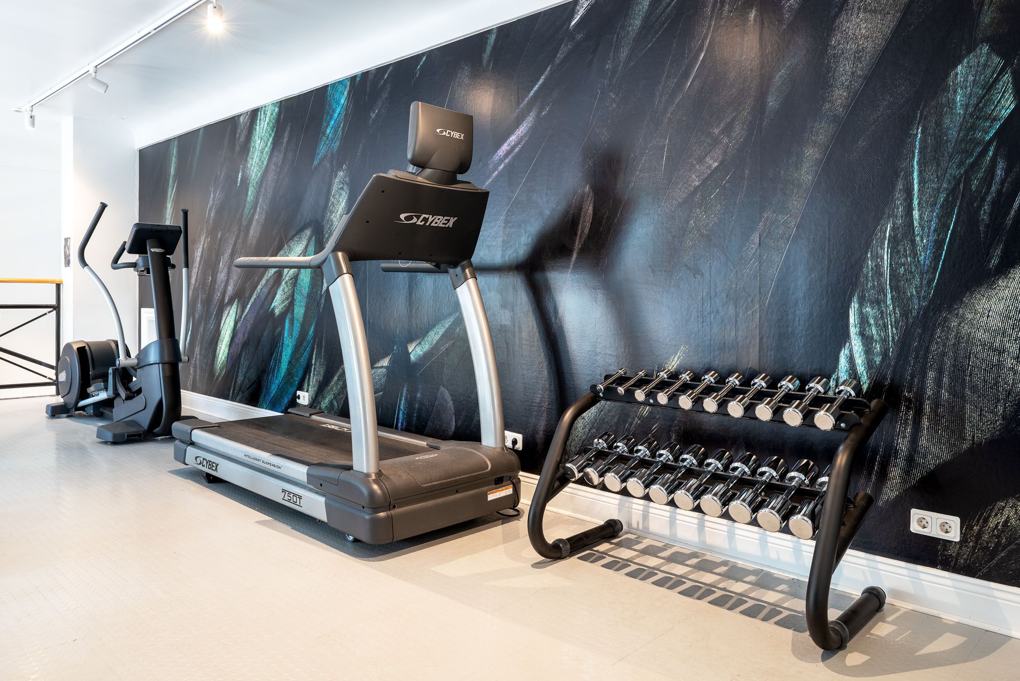 Wellness