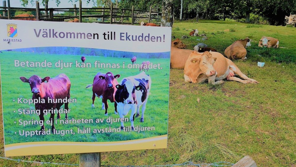 Allgemein