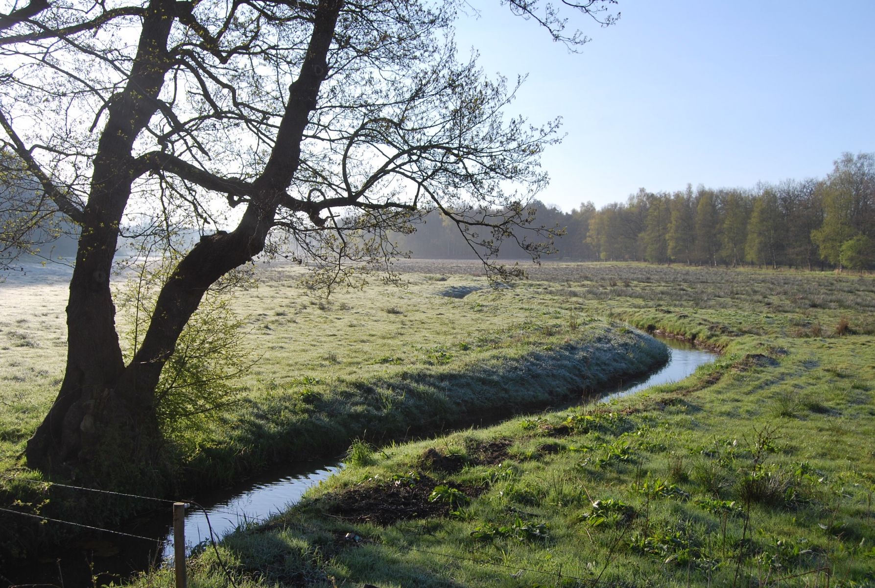 Umgebung