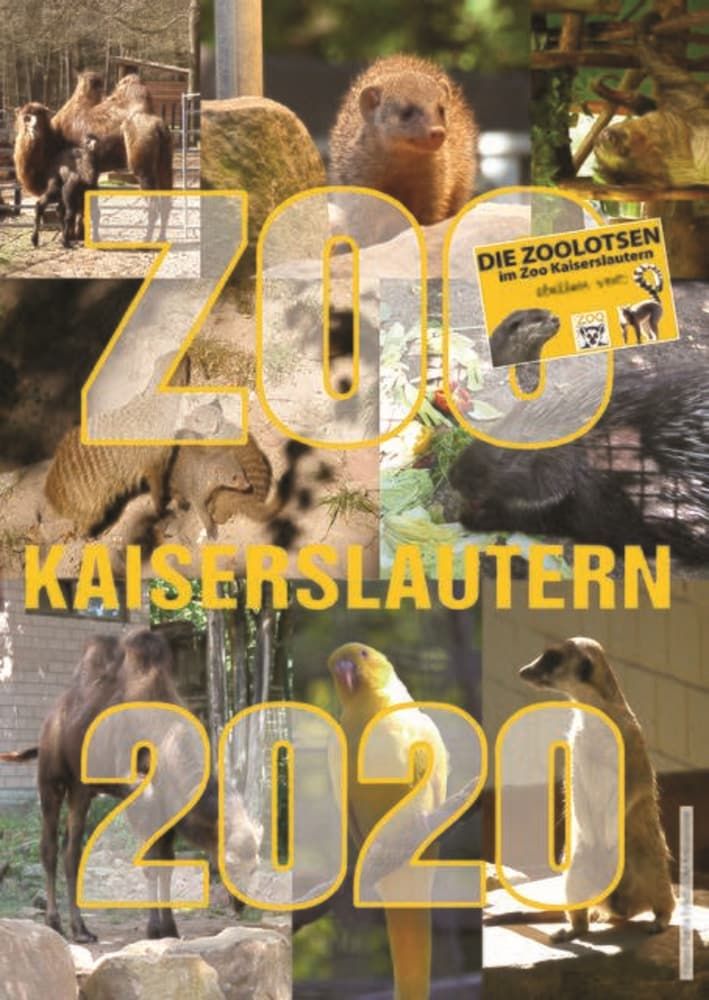 Allgemein