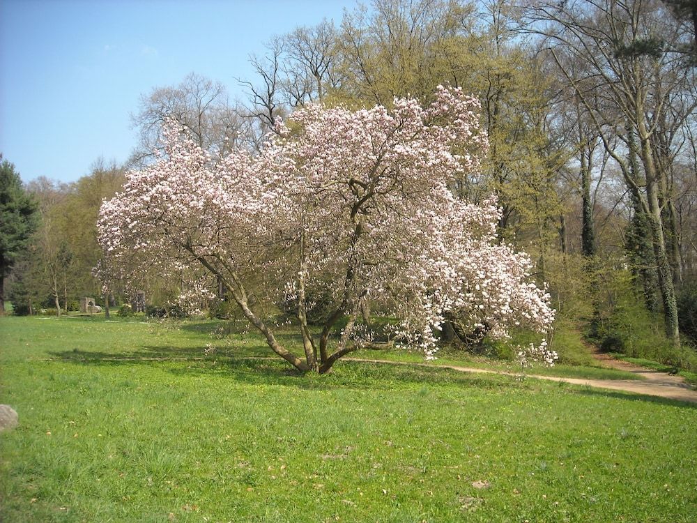 Allgemein