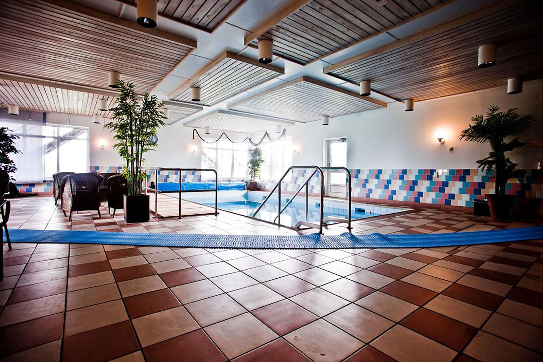 Wellness
