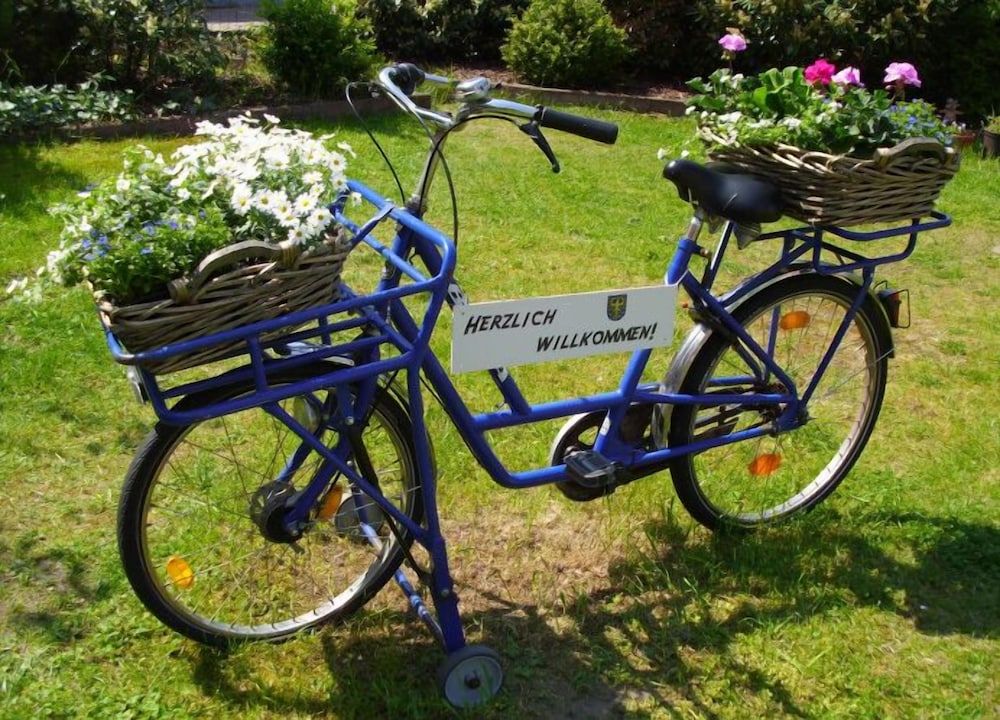 Allgemein