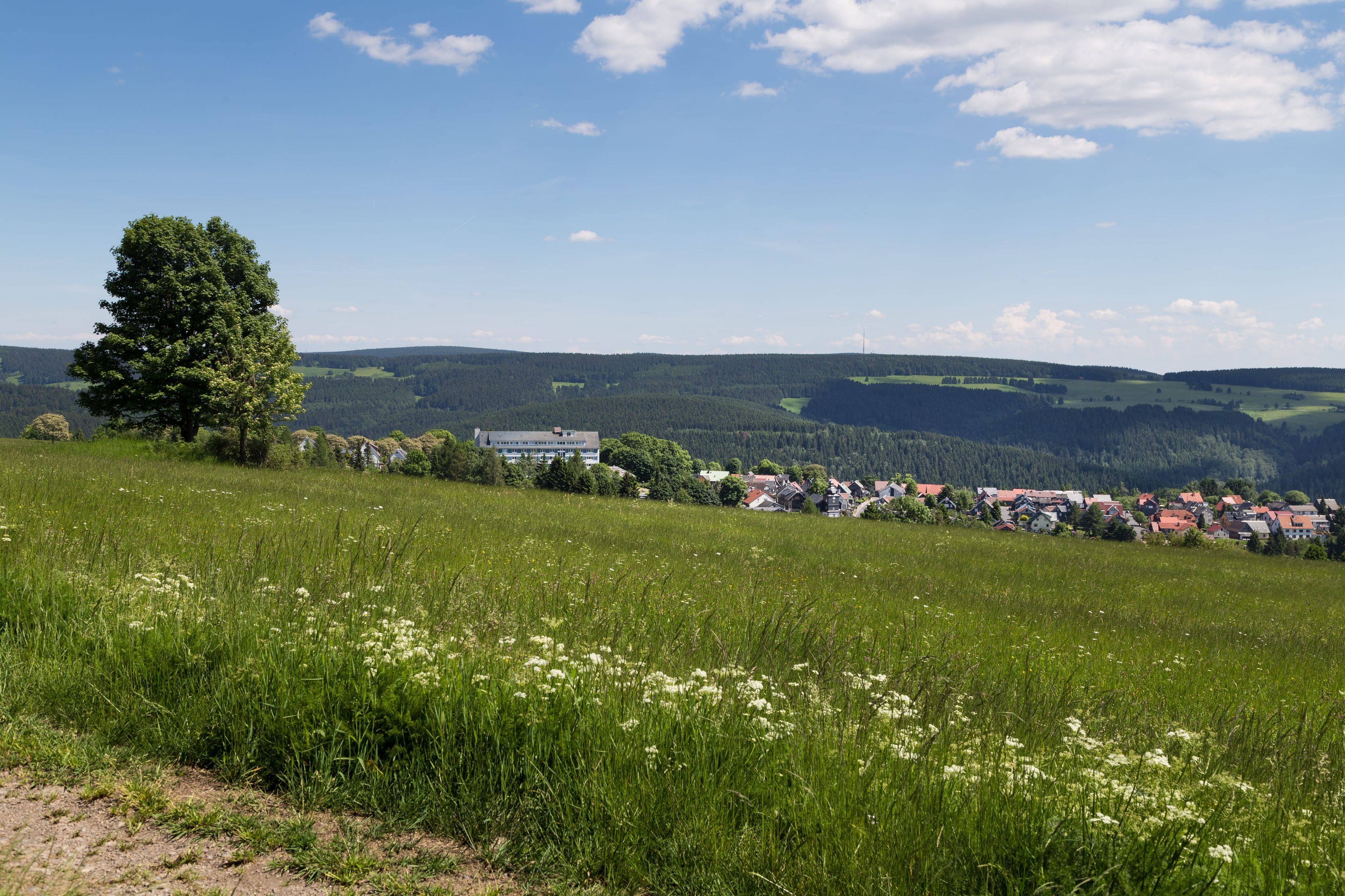 Umgebung