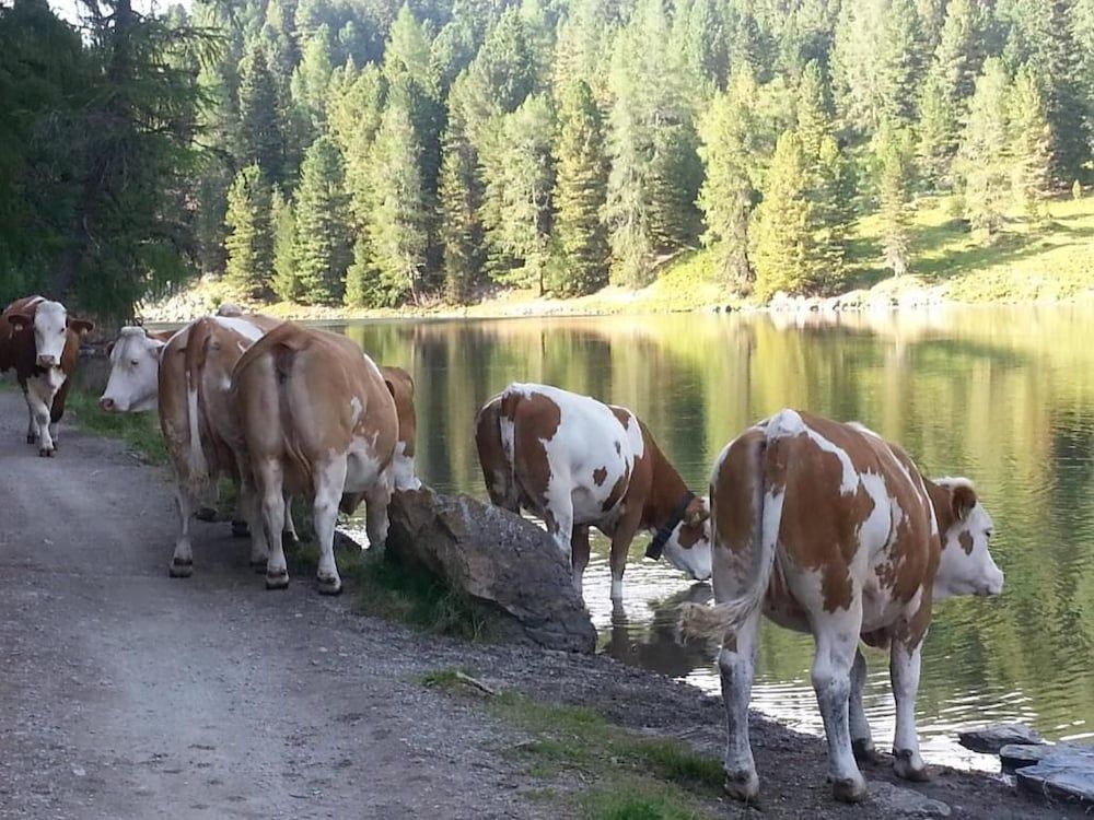 Allgemein