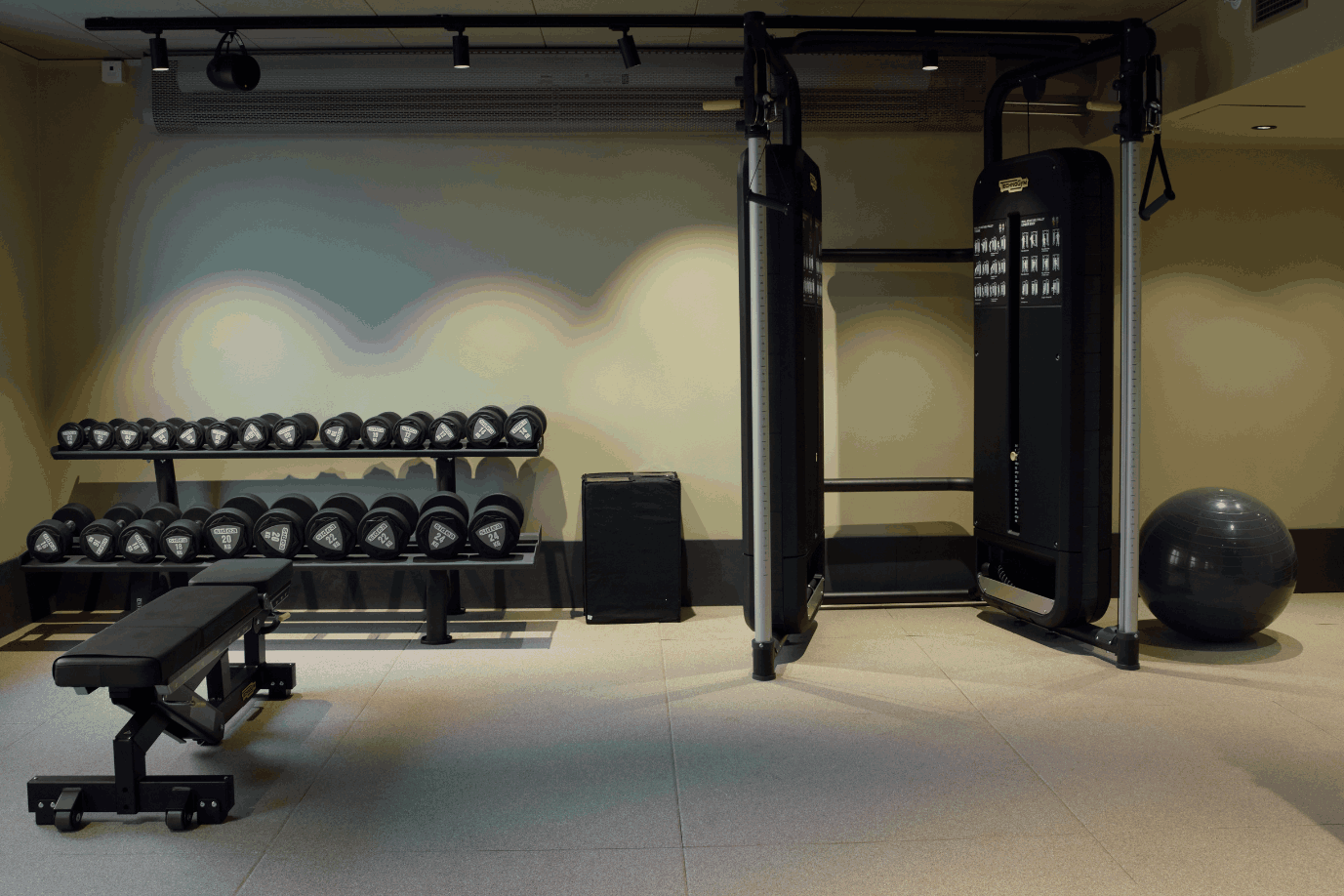Wellness