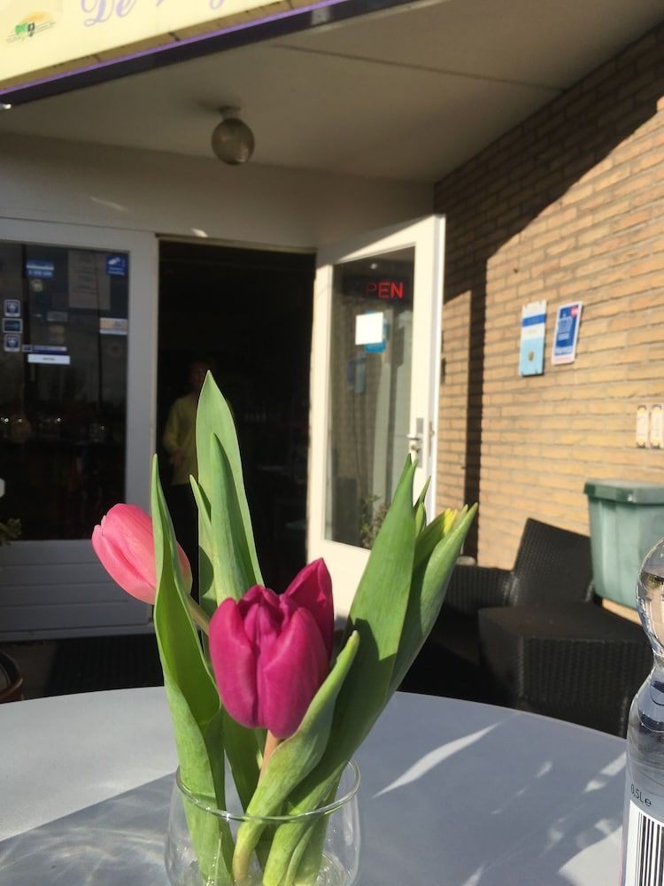 Allgemein