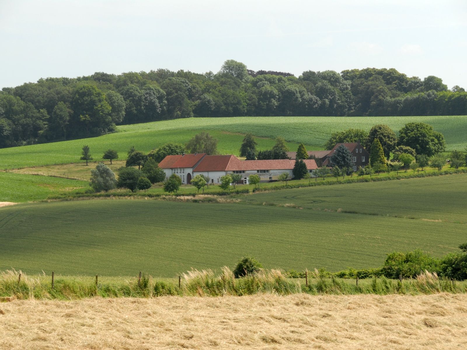 Umgebung
