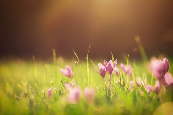 Kurzurlaub über Christi Himmelfahrt 2026