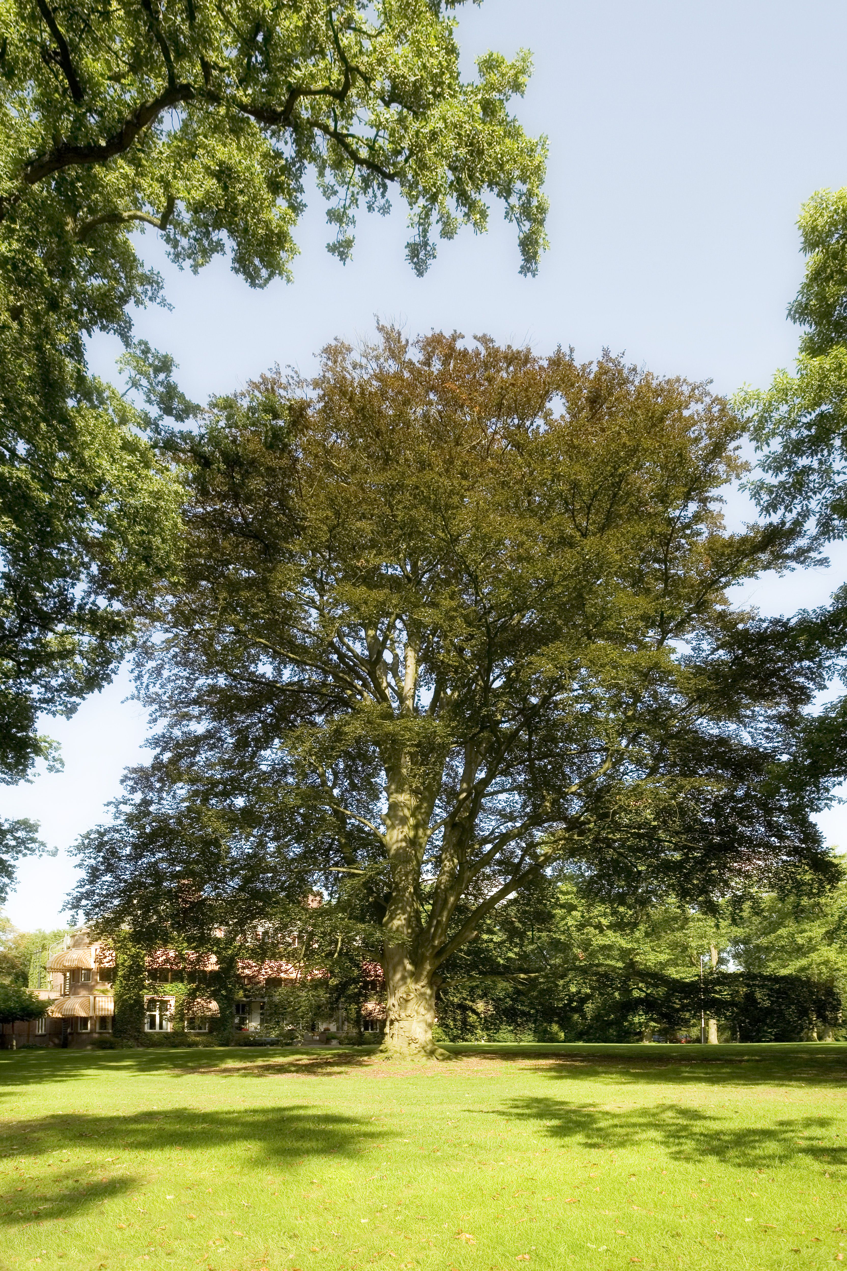 Umgebung