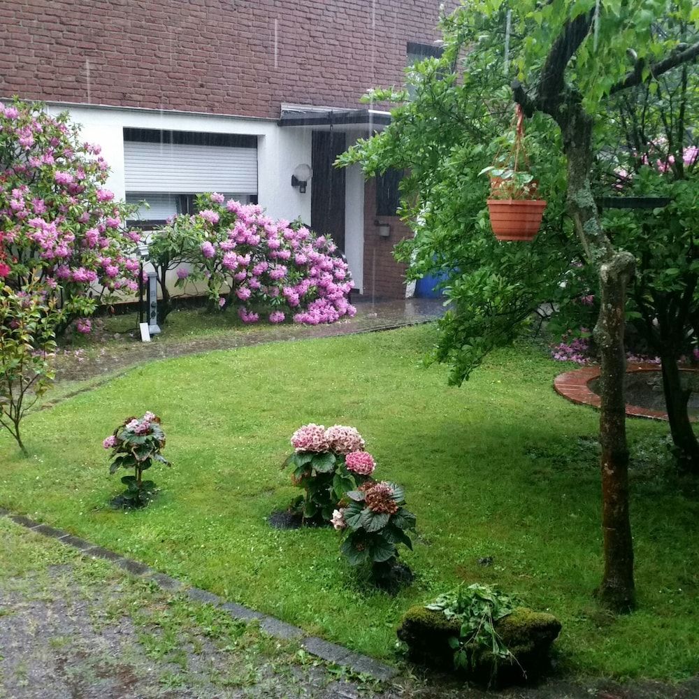 Allgemein