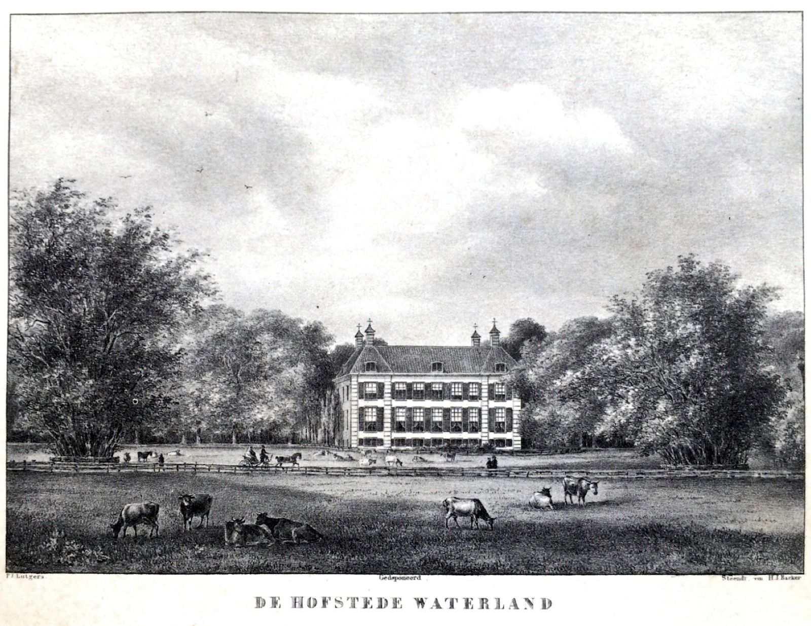 Hauptbilder
