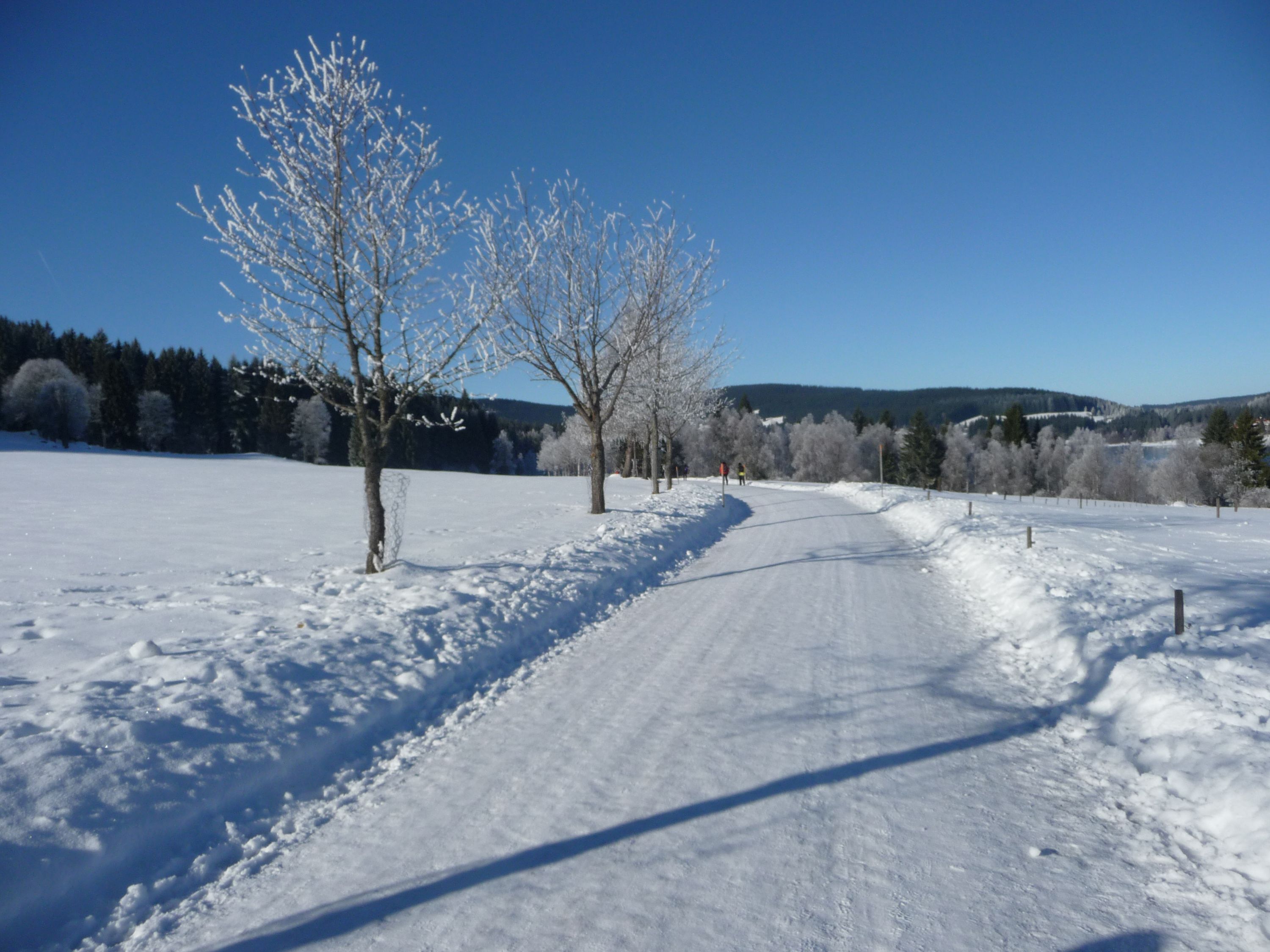 Umgebung