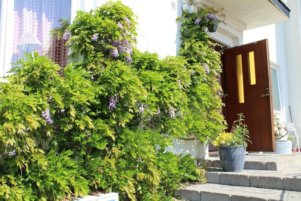 Allgemein