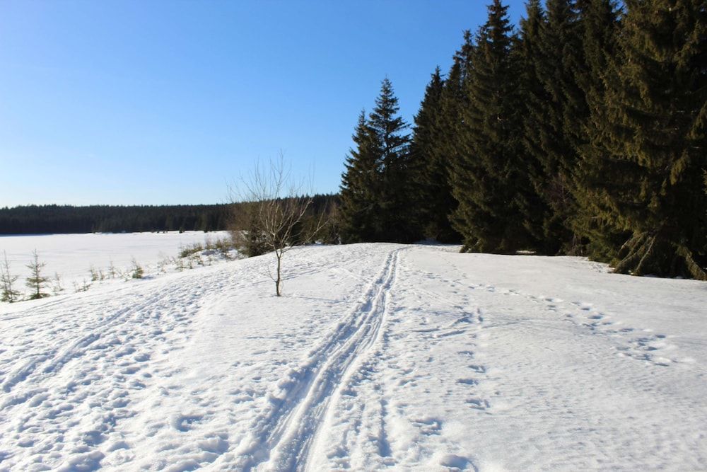 Allgemein