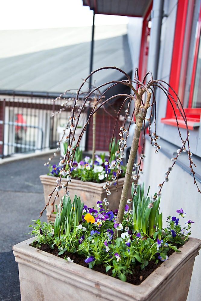 Allgemein