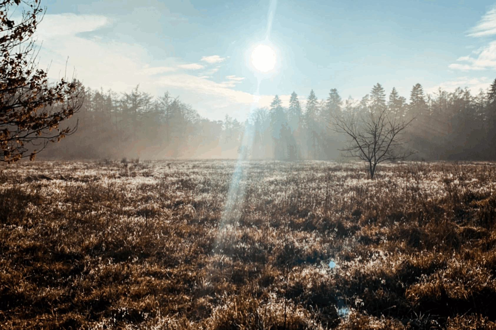 Umgebung