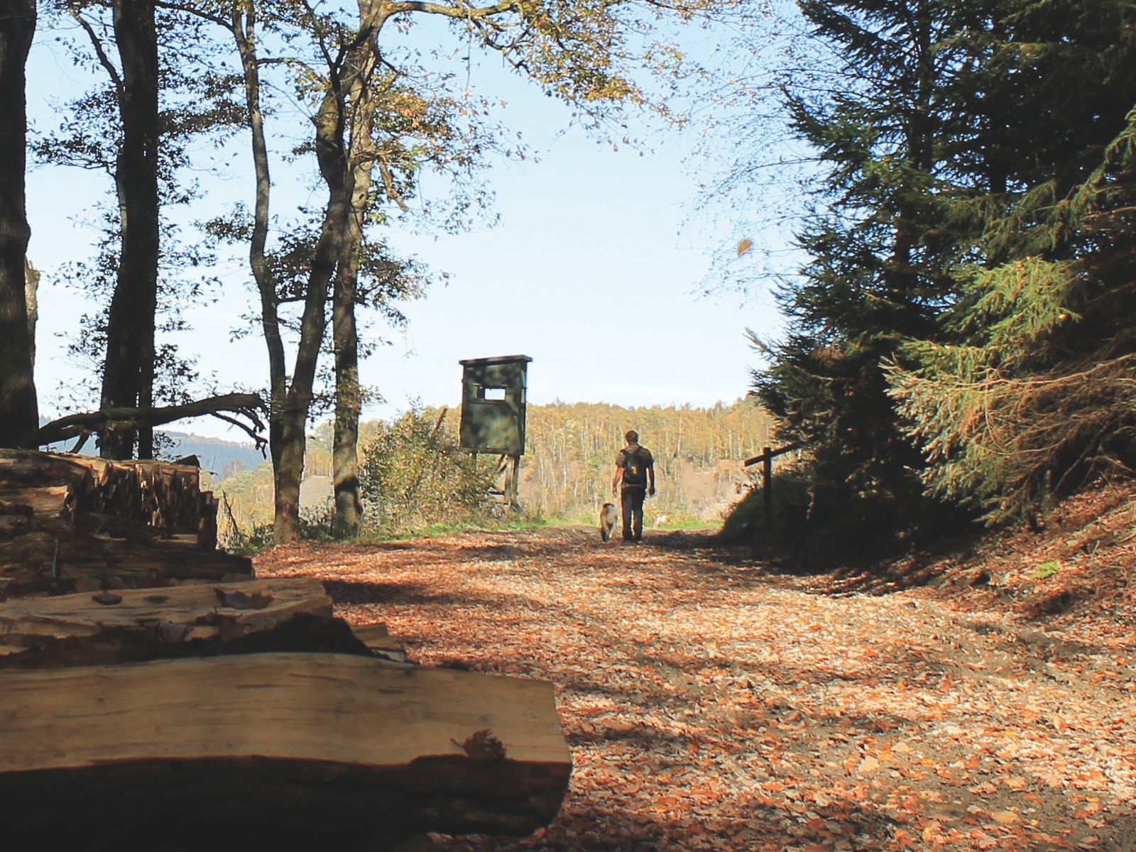Allgemein