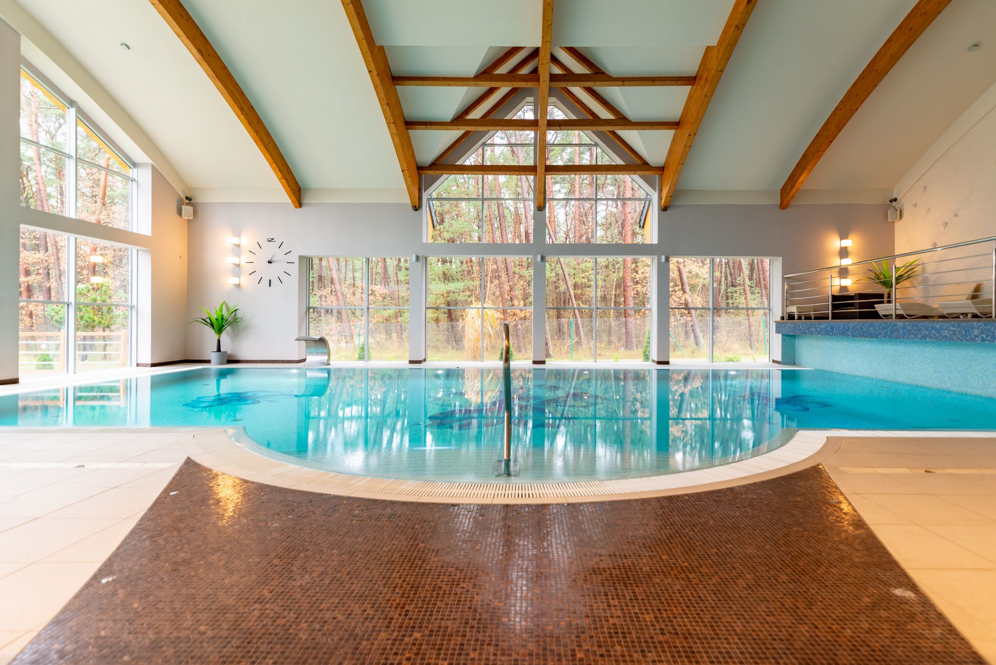 Wellness