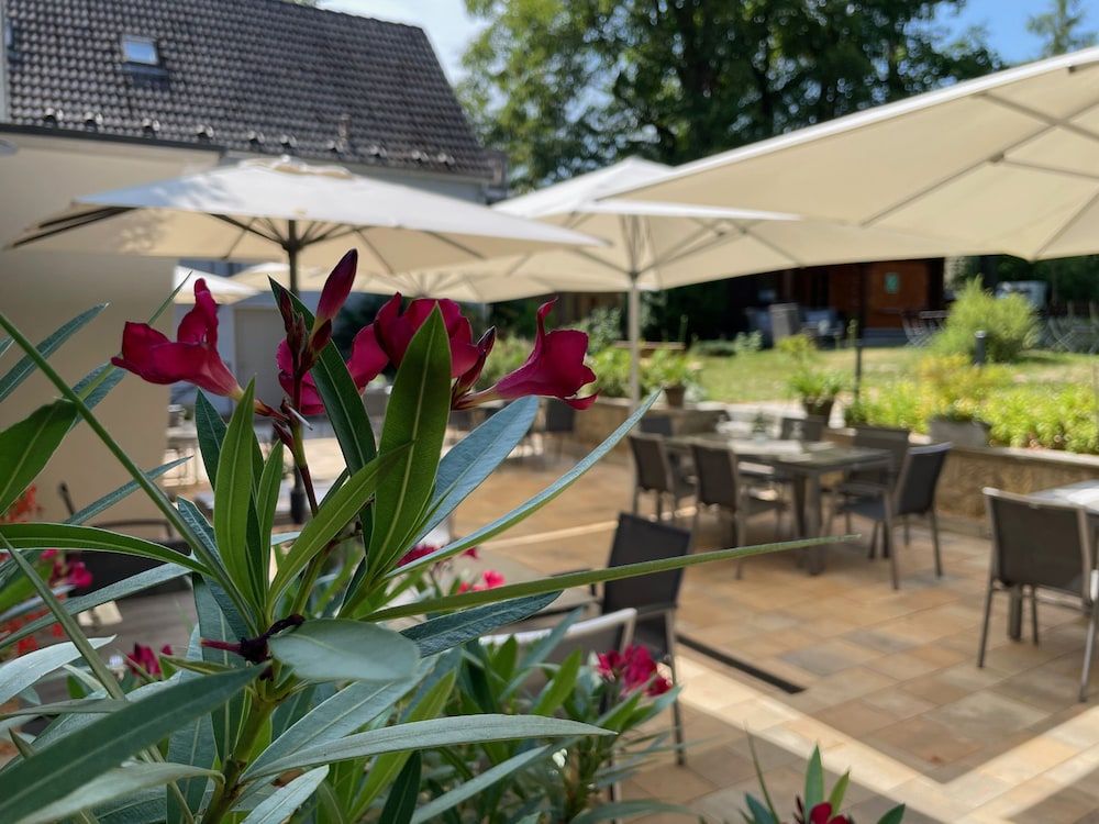 Allgemein