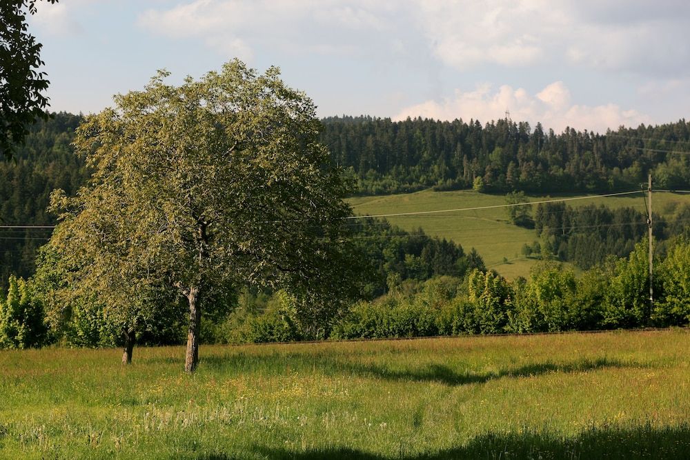 Allgemein