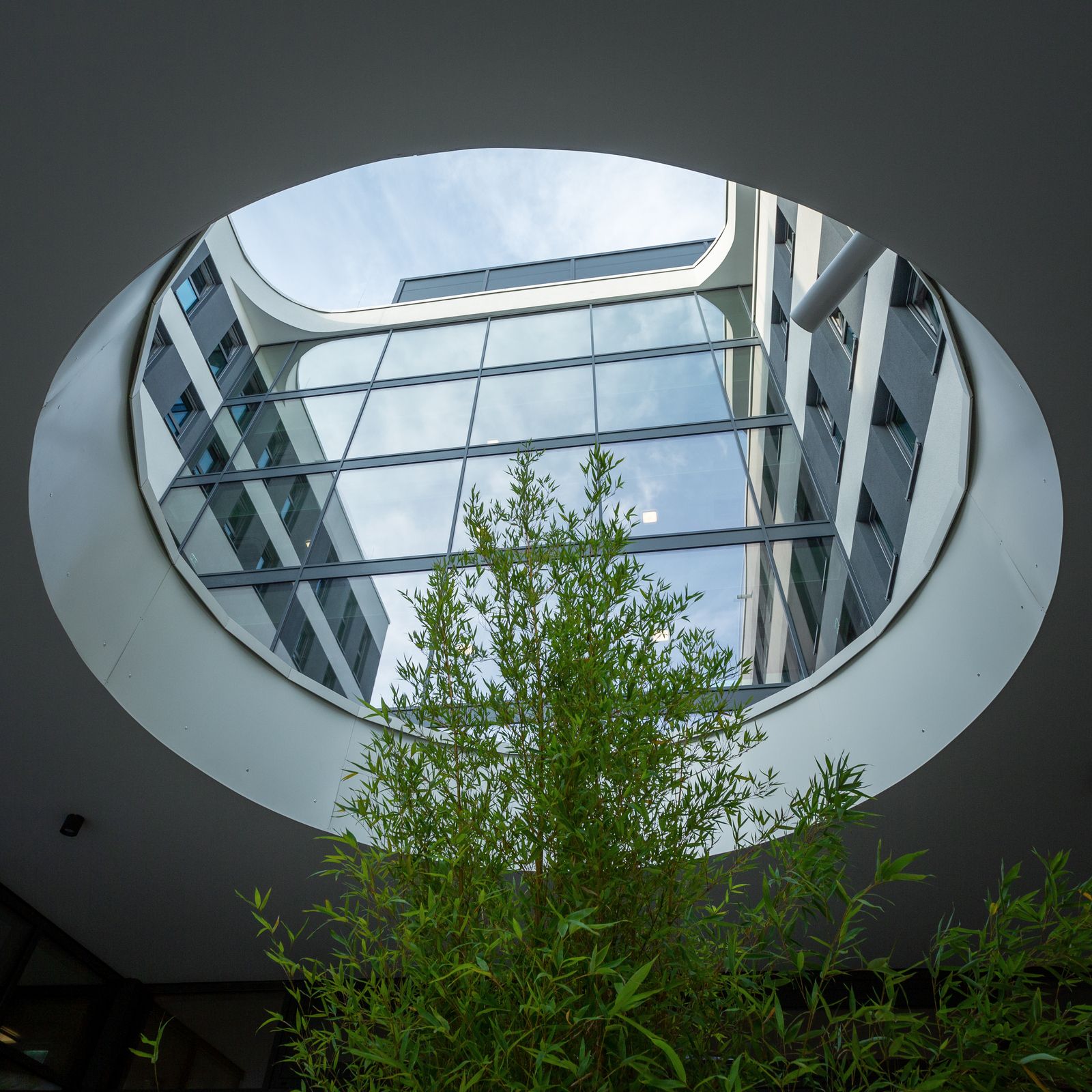 Fassade