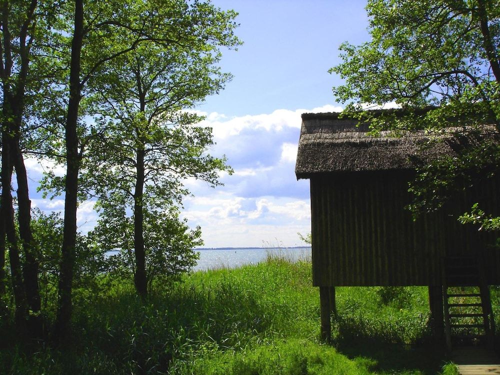Allgemein