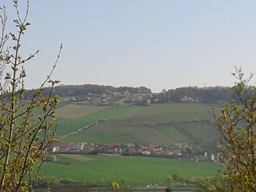 Allgemein