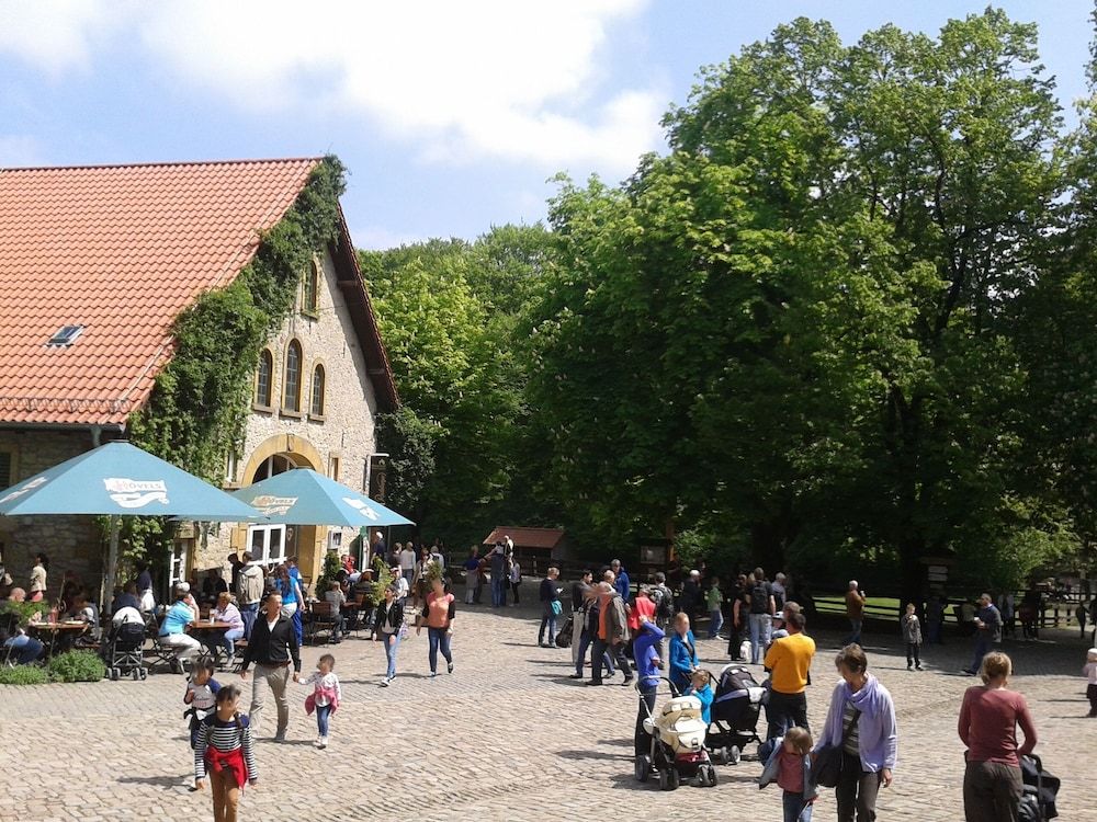 Allgemein