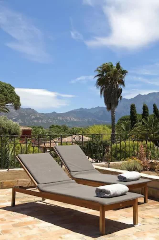 Allgemein